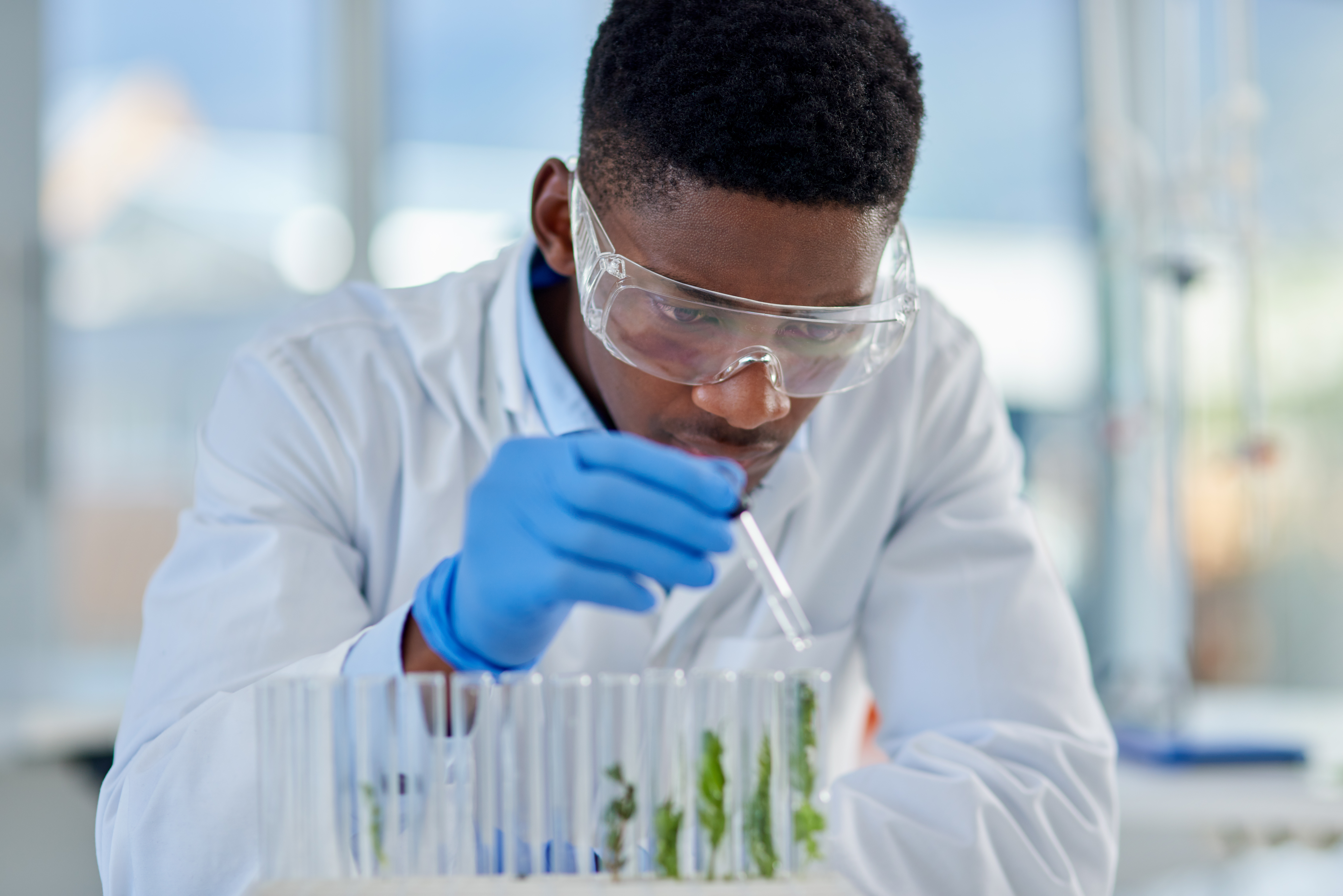 Higher education certificate - Biological sciences